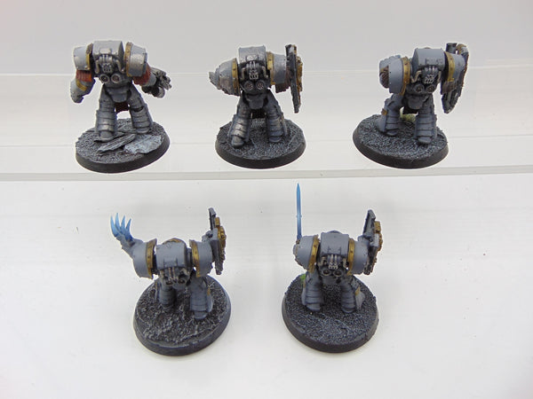 Cataphractii Terminator Squad