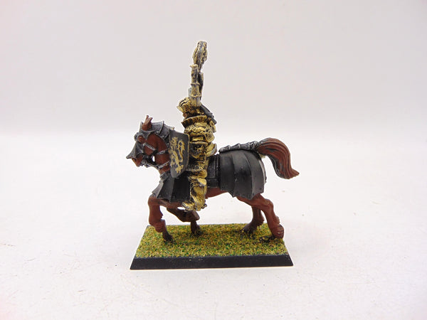 Grand Master Of The Knights Of The Blazing Sun