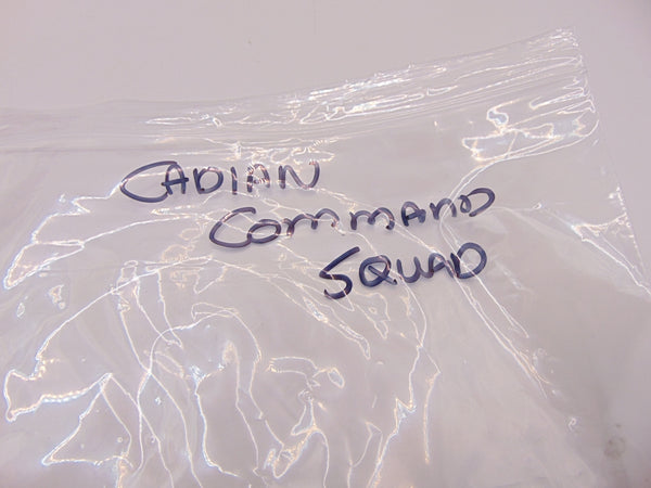 Cadian Command Squad