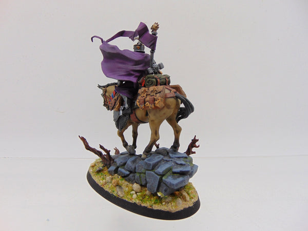 Freeguild Cavalier-Marshal