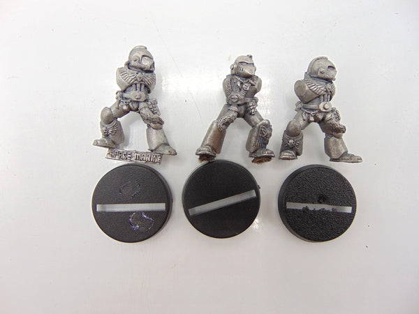 Grey Hunter Bodies