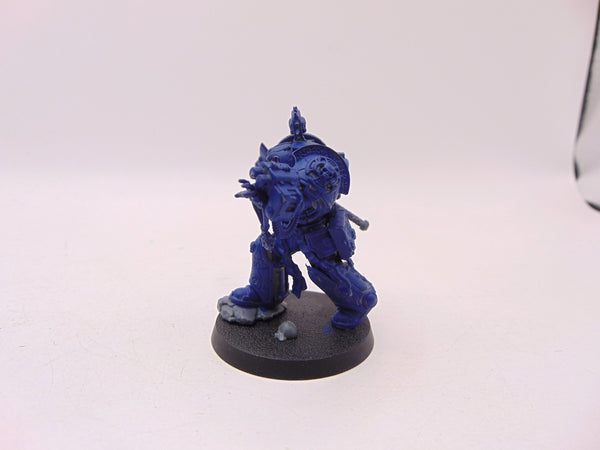 Librarian in Terminator Armour