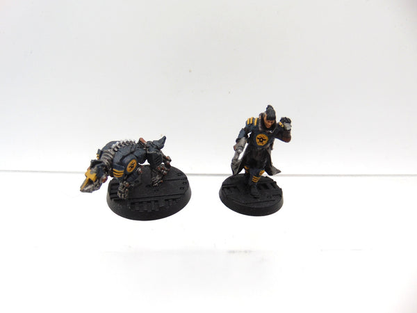 Scrutinator-Primus Servalen