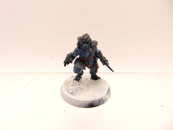 Clade Venenum Assassin