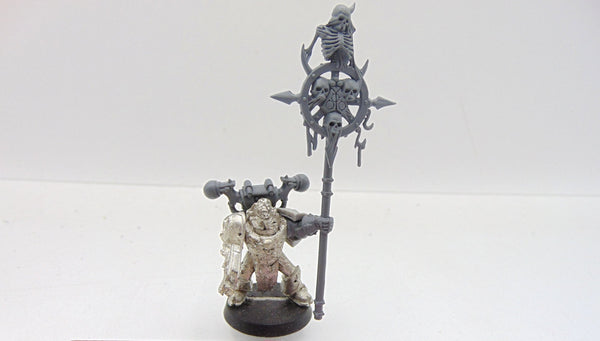 Converted Plague Marine Icon Bearer / Sergeant