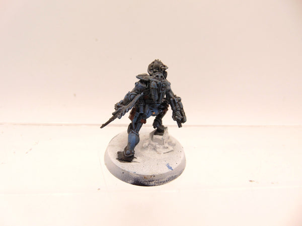 Clade Venenum Assassin