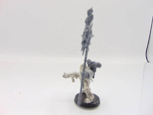 Converted Plague Marine Icon Bearer / Sergeant