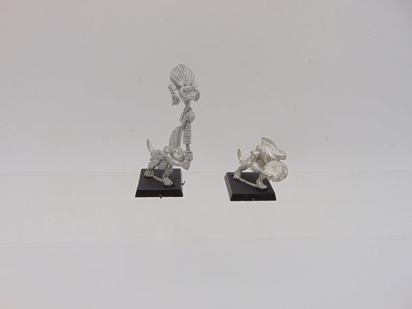 Skink Command Musician and Standard