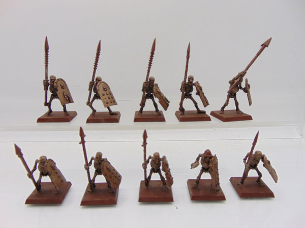 Skeleton Warrions