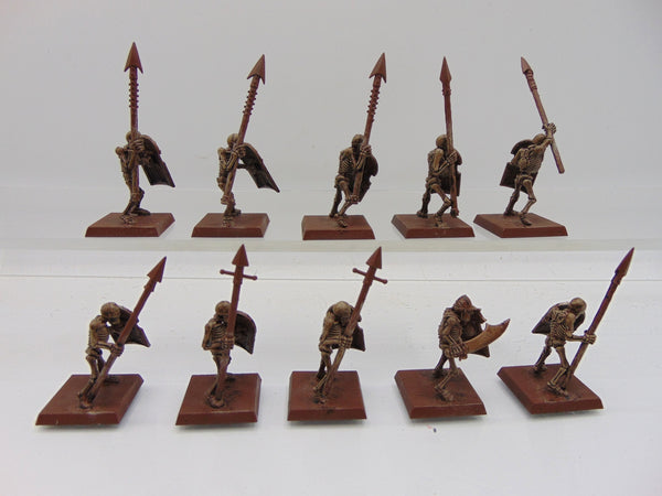 Skeleton Warrions