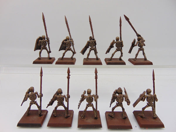 Skeleton Warrions