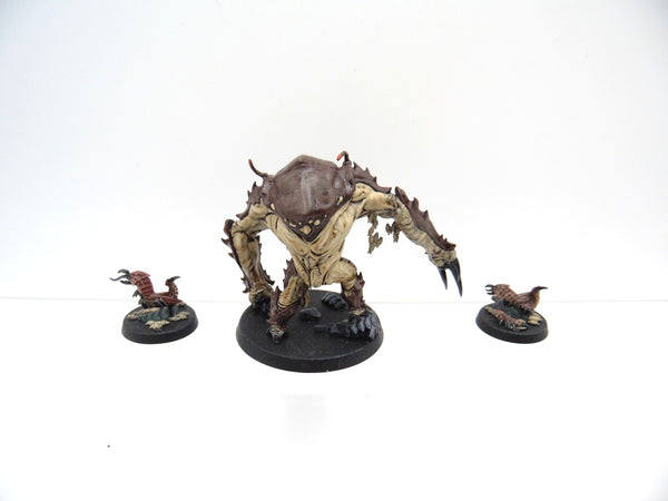 Ambull & Borewyrms