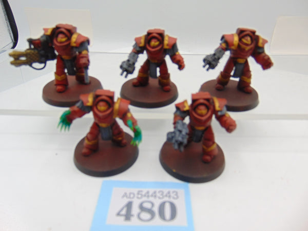 Cataphractii Terminator Squad