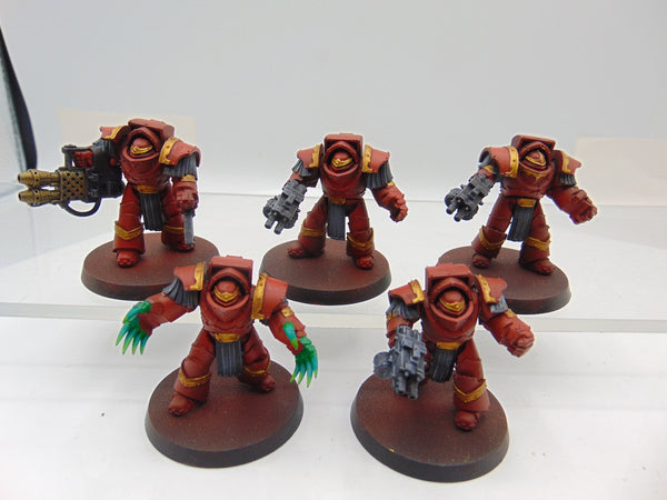 Cataphractii Terminator Squad
