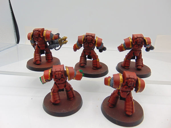 Cataphractii Terminator Squad