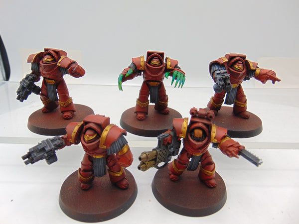 Cataphractii Terminator Squad