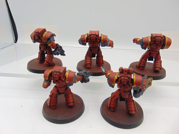 Cataphractii Terminator Squad