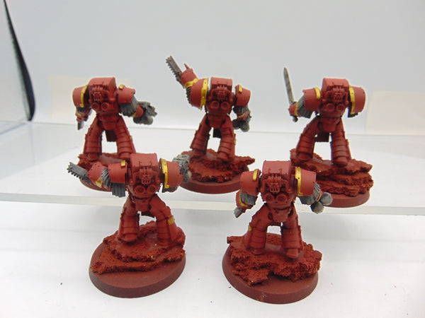 Cataphractii Terminator Squad
