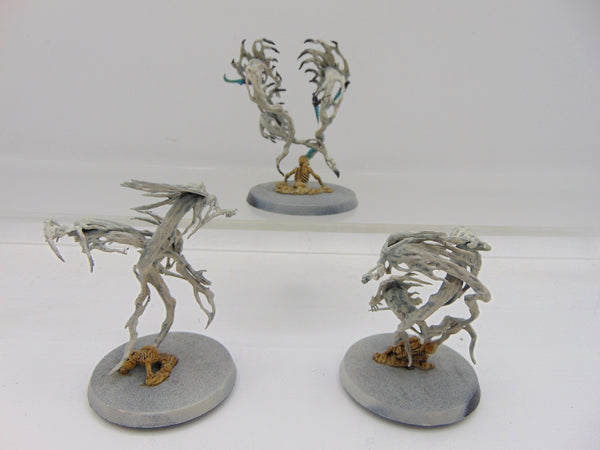 Spirit Hosts