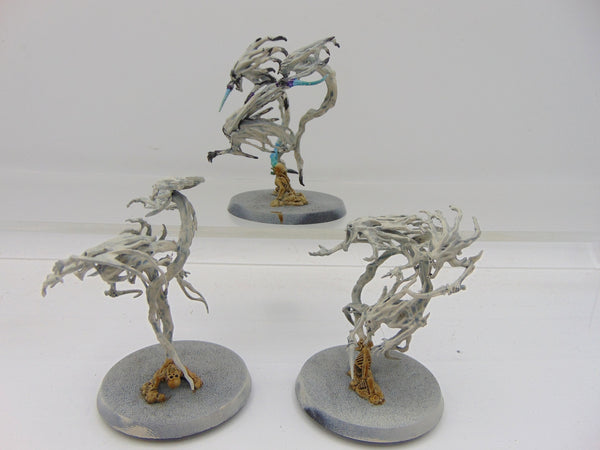 Spirit Hosts