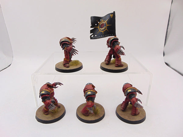 Cataphractii Terminator Squad
