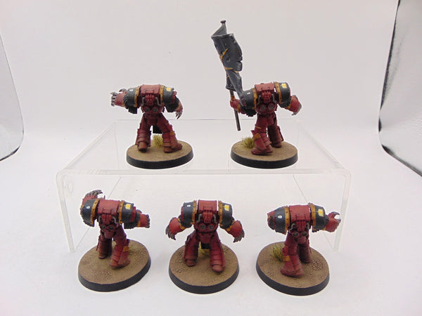 Cataphractii Terminator Squad