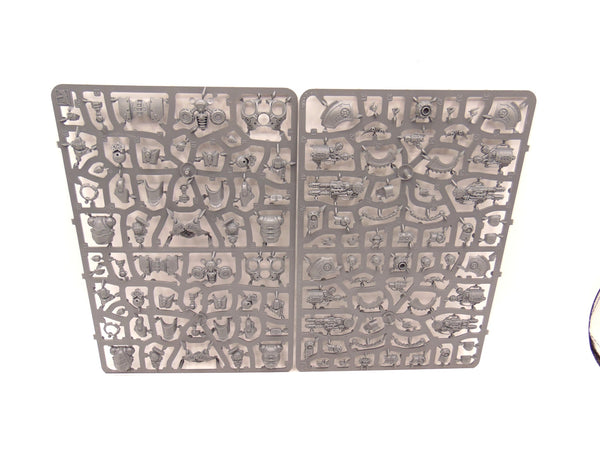 Staurnine Terminators