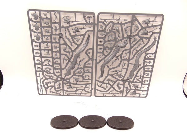 Akhelian Ishlaen / Morrsarr Guard