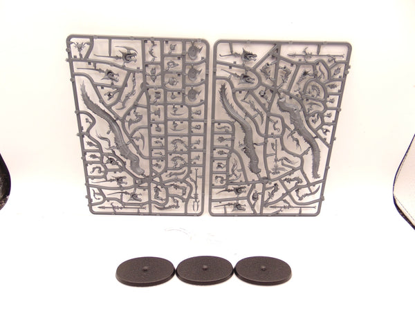 Akhelian Ishlaen / Morrsarr Guard