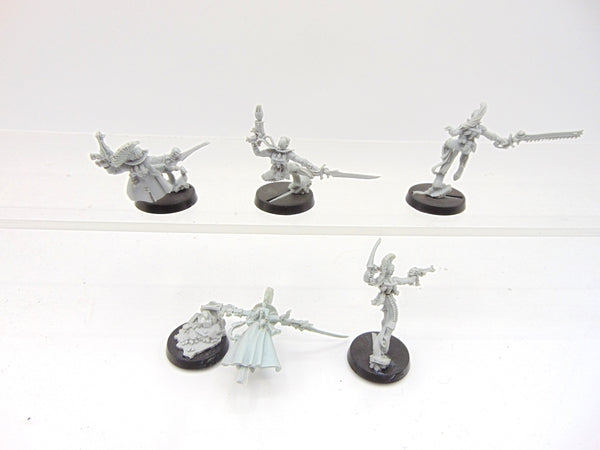 Harlequin Troupe