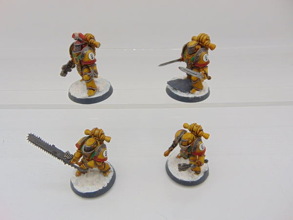 Imperial Fists Legion Templar Brethren