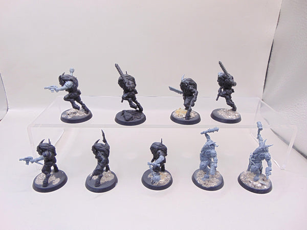Fellgor Beastmen