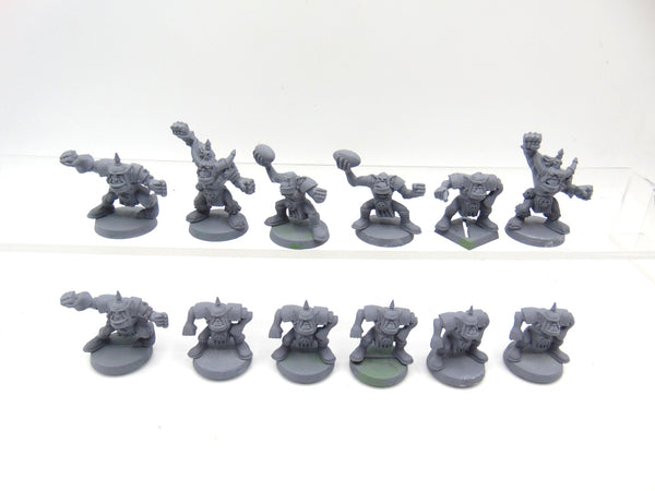 Orc Blood Bowl Team