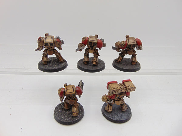 Terminator Squad