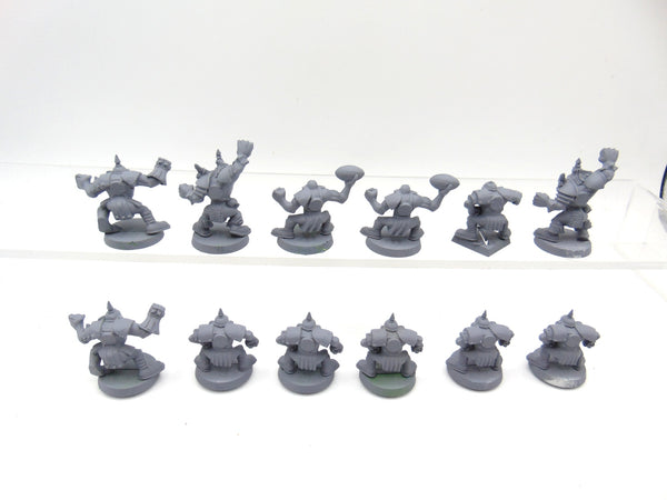 Orc Blood Bowl Team