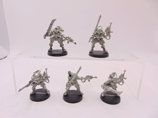 Striking Scorpions