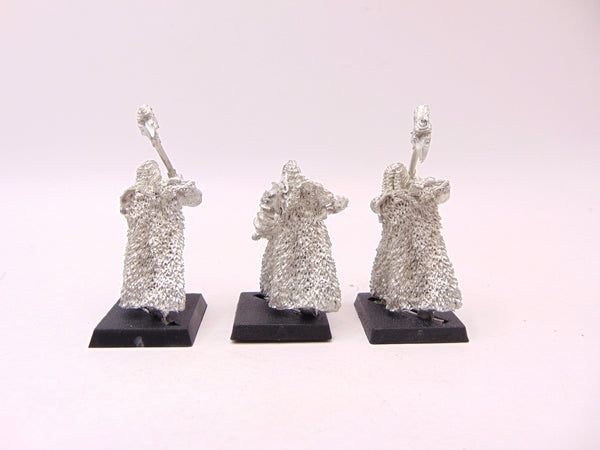 Teutogen Guard Warriors