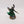 Farseer