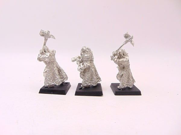 Teutogen Guard Warriors