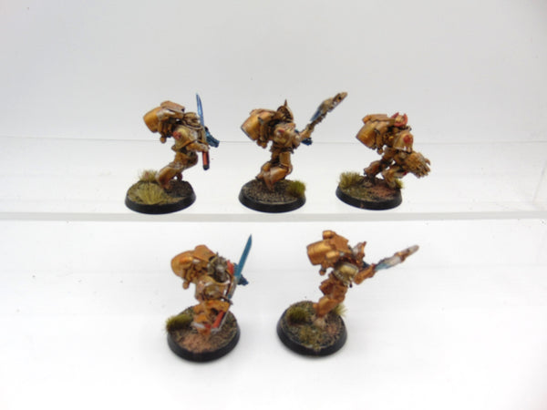 Sanguinary Guard