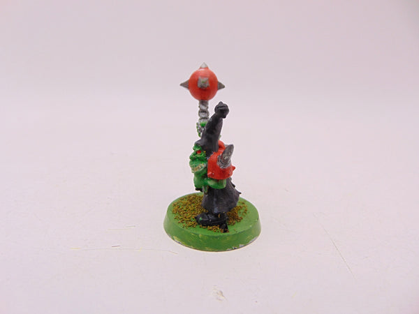 Fungus the Loon