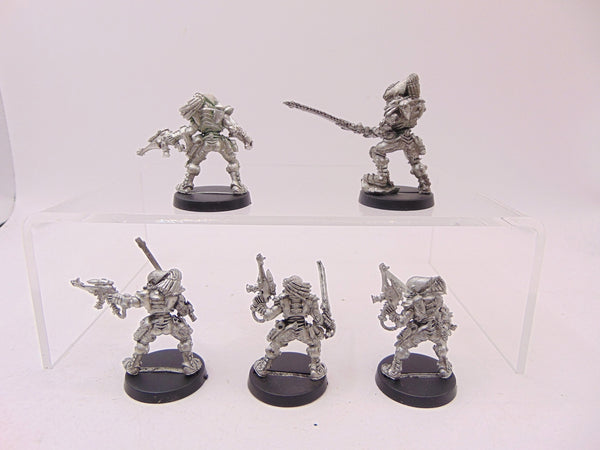 Striking Scorpions