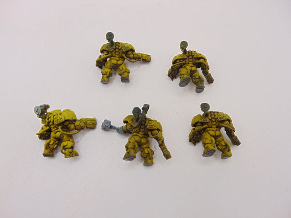 Einhyr Hearthguard