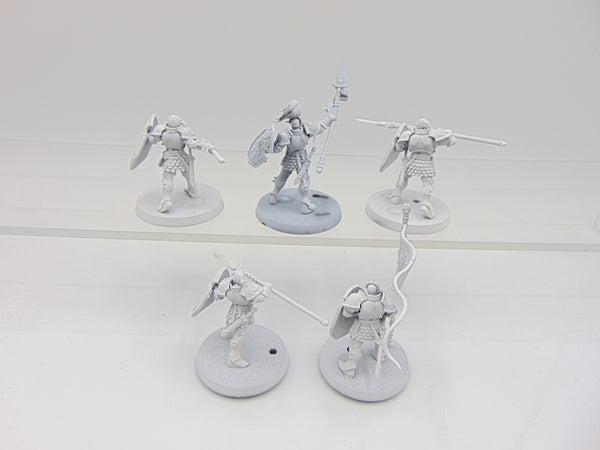 Vindictors