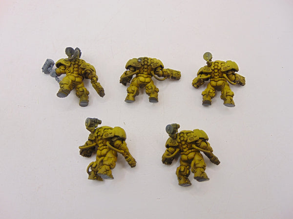 Einhyr Hearthguard