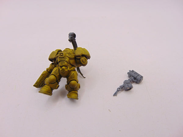 Einhyr Hearthguard