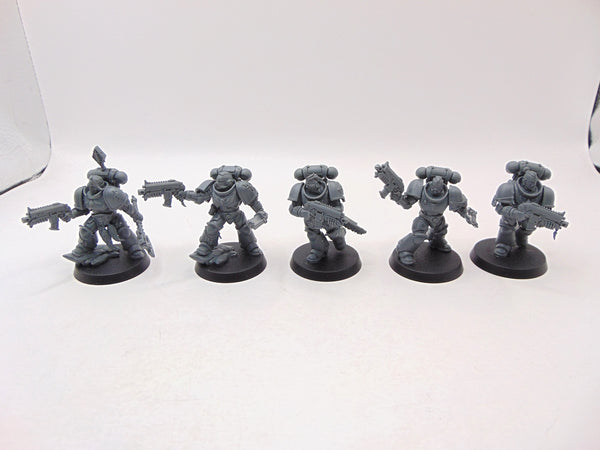 Grey Hunters