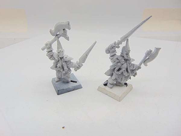 Dark Elf Corsairs