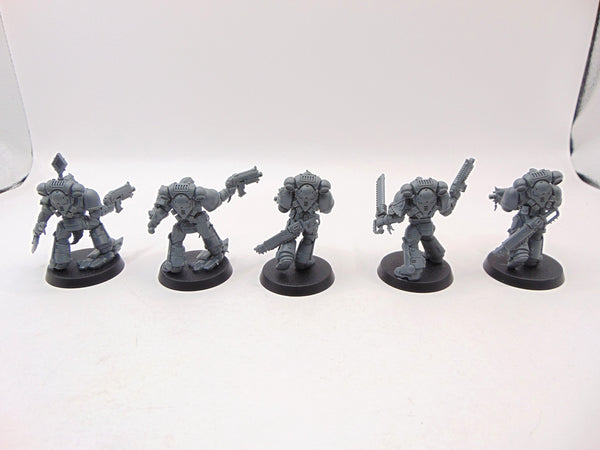 Grey Hunters