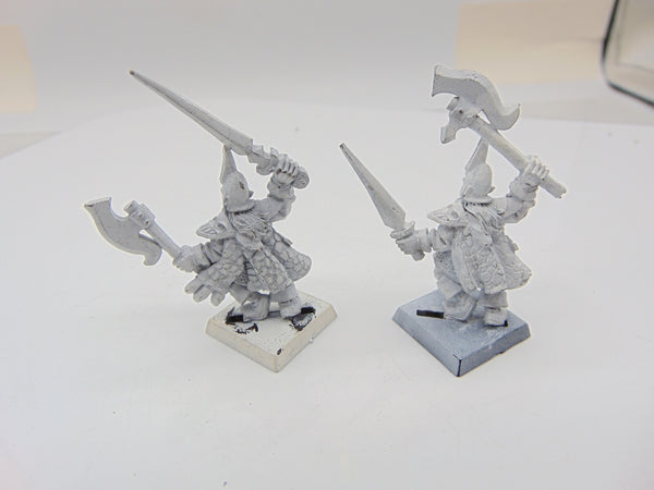 Dark Elf Corsairs